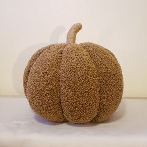 Pottery Barn Cozy Teddy Pumpkin Tobacco